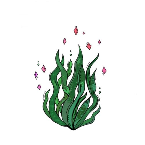 SurSalt Spirulina