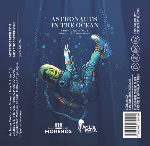 Astronauts In the Ocean