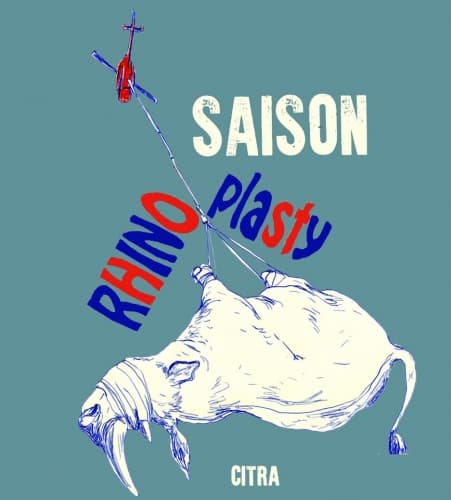 Rhinoplasty Citra Saison