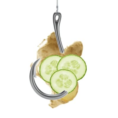Shark Bait Ginger Cucumber