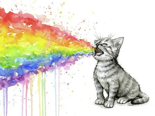 Rainbow Kitten Surprise