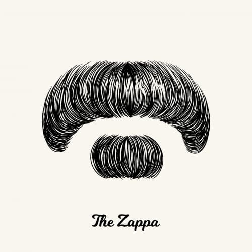 Freak Zappa