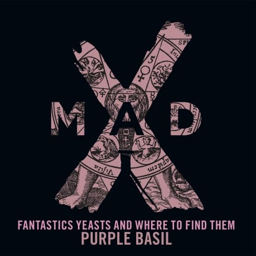 Fantastic Yeasts And Where To Find Them Purple Basil