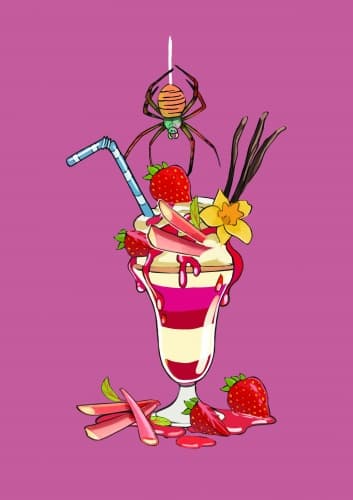 Milkshake Gose - Fraise/Rhubarbe