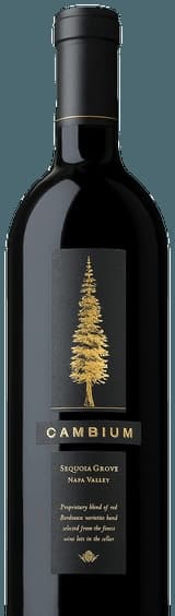 Cambium