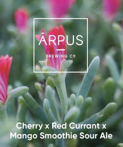 Cherry x Red Currant x Mango Smoothie Sour Ale