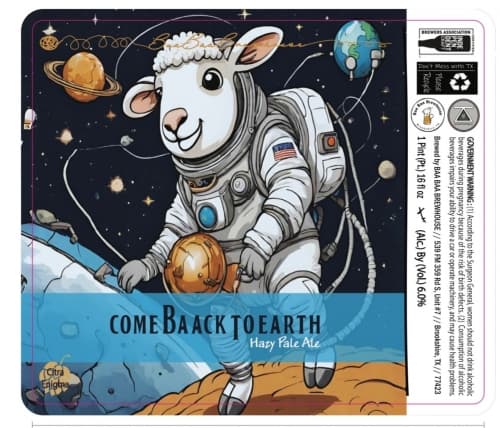 Come Baack To Earth