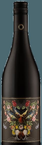 Shiraz - Mataro