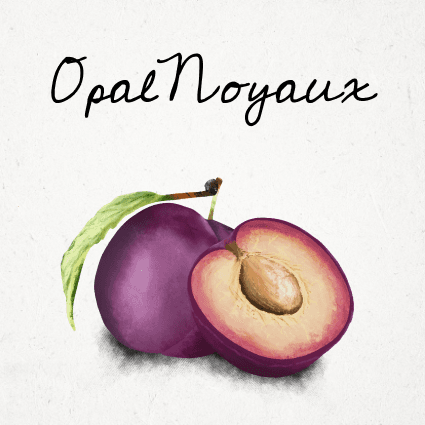 Opal Noyaux