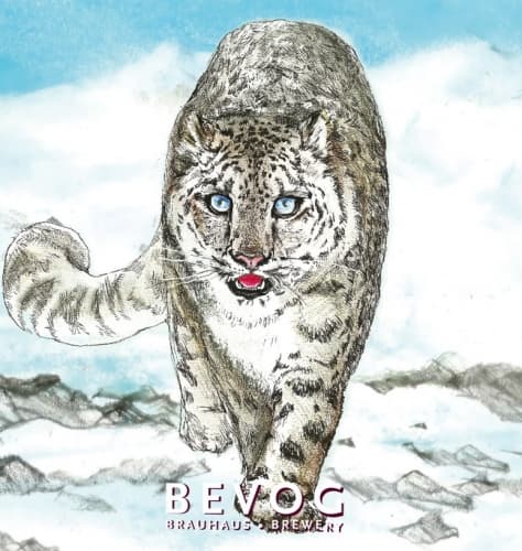 Extinction Is Forever!: Snow Leopard