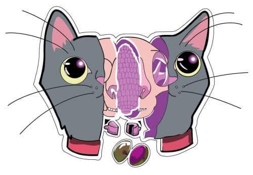 Psicatdelic