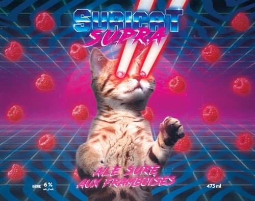 Suricat Supra