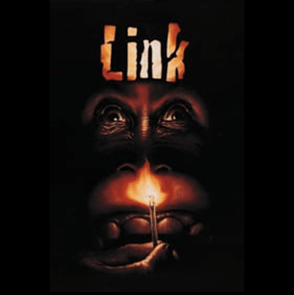 Link