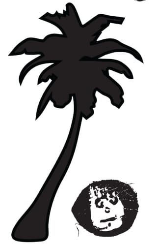 Tropical Pale Ale