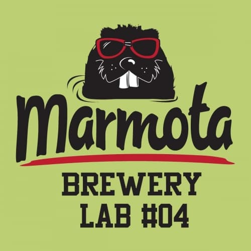 Marmota Lab#04