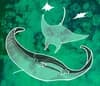Mantarraya