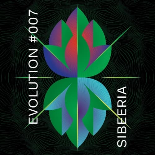 Evolution #007 (NŠH 14/18)
