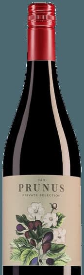 Private Selection Tinto