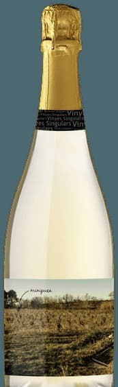 Minipuça Ancestral