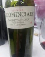 Altísimo Cabernet Sauvignon