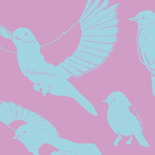 Bluebirds