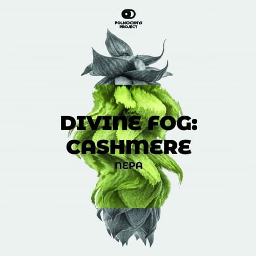 Divine Fog: Cashmere