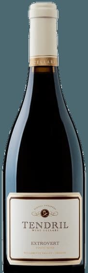 Extrovert Pinot Noir