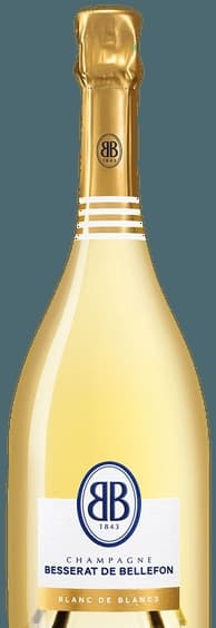 Blanc de Blancs Brut Champagne