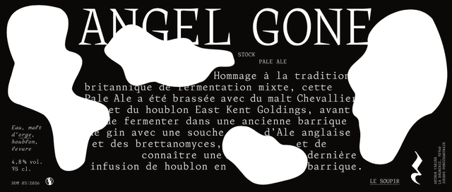 Angel Gone