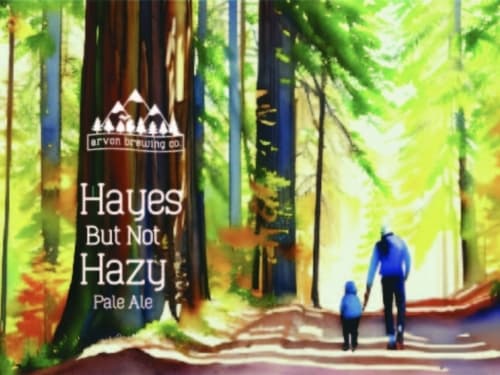 Hayes But Not Hazy