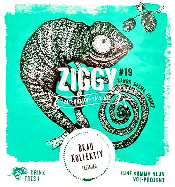 Ziggy #19