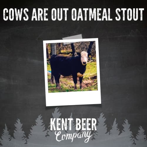 Cows Are Out Oatmeal Stout