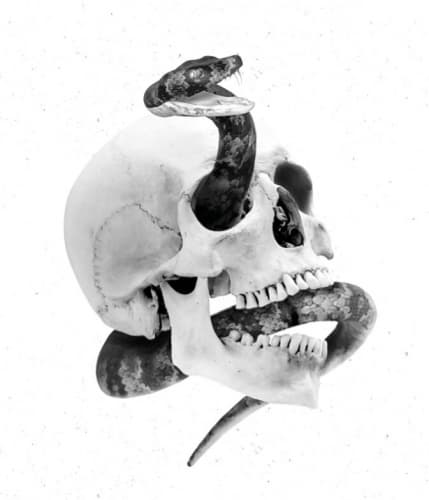 Black Maiden (Cover Series)