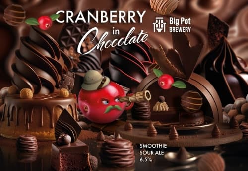 Cranberry In Chocolate