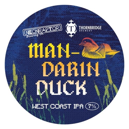 Mandarin Duck