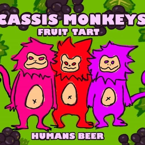 CASSIS MONKEYS