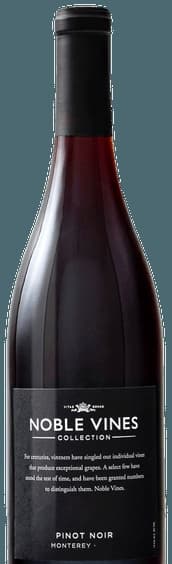 667 Pinot Noir