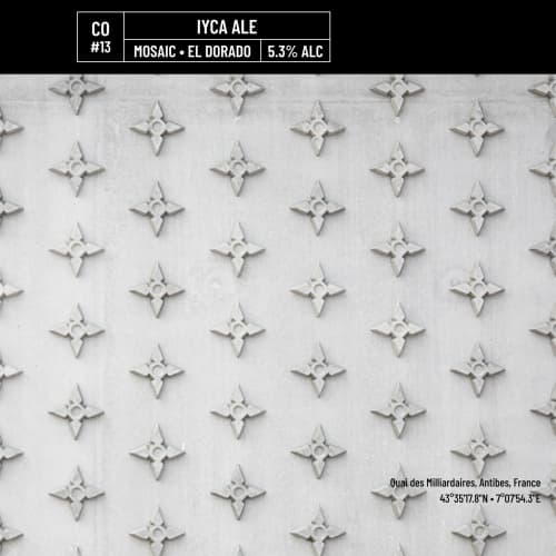 CO#13 - IYCA Ale