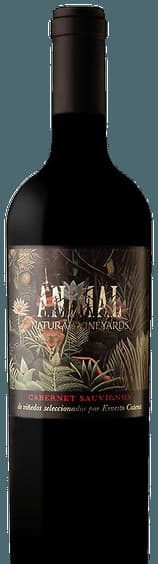 Cabernet Sauvignon