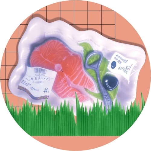 R&D#044: 鮭魚夢 Salmon Haze