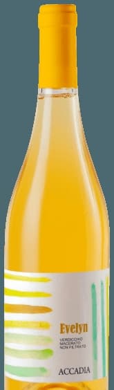 Evelyn Verdicchio Macerato