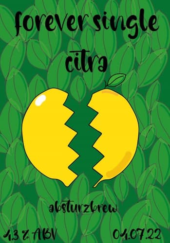 Forever Single: Citra