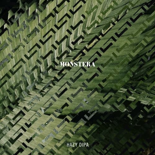 Monstera