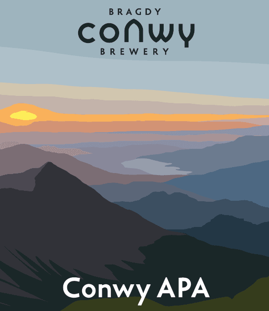 Conwy APA