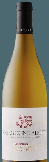 Bourgogne Aligoté