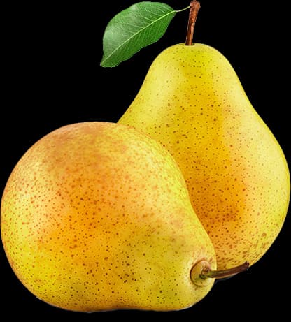 Just One Pear