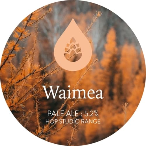 The Hop Studio - Waimea