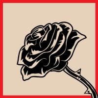 Black Rose (Róisín Dubh)