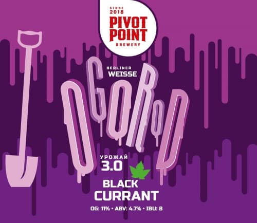 Ogorod Black Currant