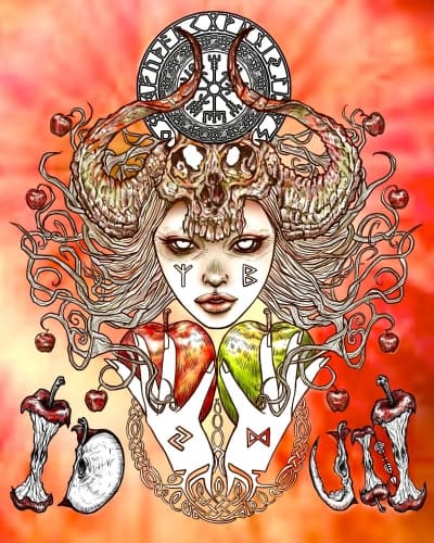 IDUN ~Nagano Blend~